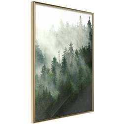 Arkiio Affisch Coniferous Forest [Poster] 20x30 Poster